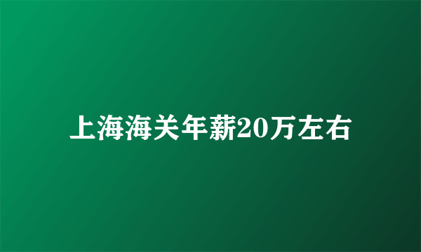 上海海关年薪20万左右