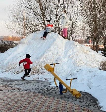 黑龙江多地遭遇暴风雪，给当地造成了哪些影响？