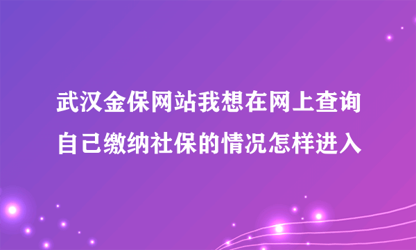 武汉金保网站我想在网上查询自己缴纳社保的情况怎样进入