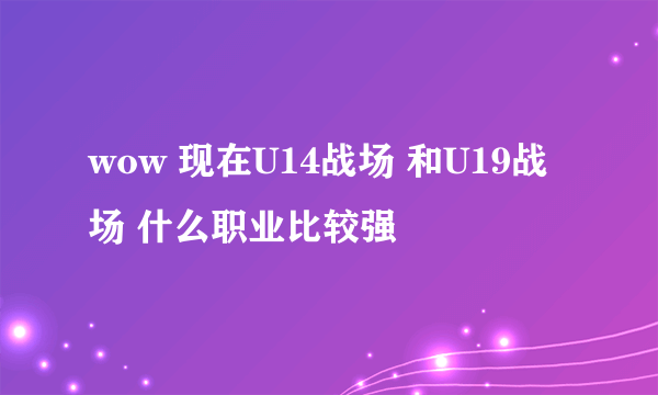 wow 现在U14战场 和U19战场 什么职业比较强