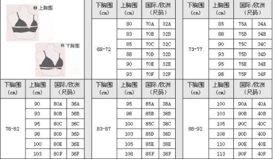 女性内衣罩杯的计算方法