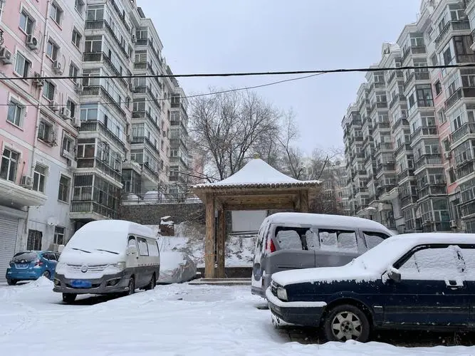 黑龙江多地遭遇暴风雪，给当地造成了哪些影响？