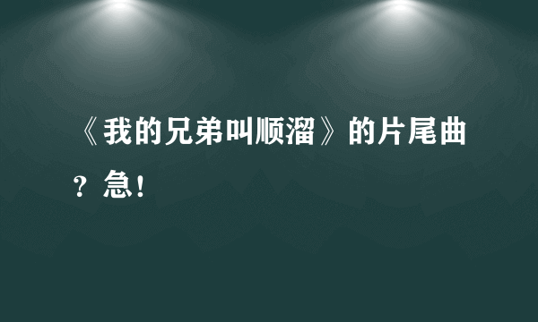 《我的兄弟叫顺溜》的片尾曲？急！