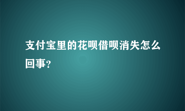 支付宝里的花呗借呗消失怎么回事？