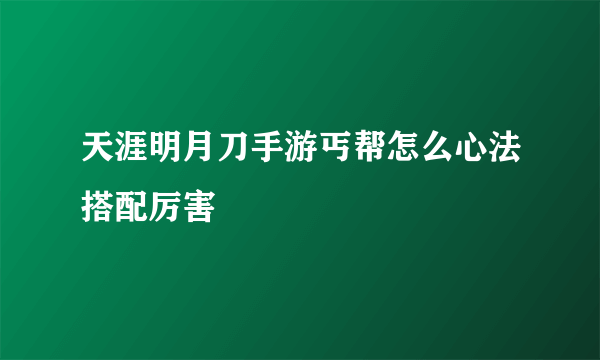 天涯明月刀手游丐帮怎么心法搭配厉害