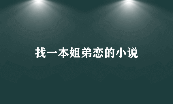 找一本姐弟恋的小说