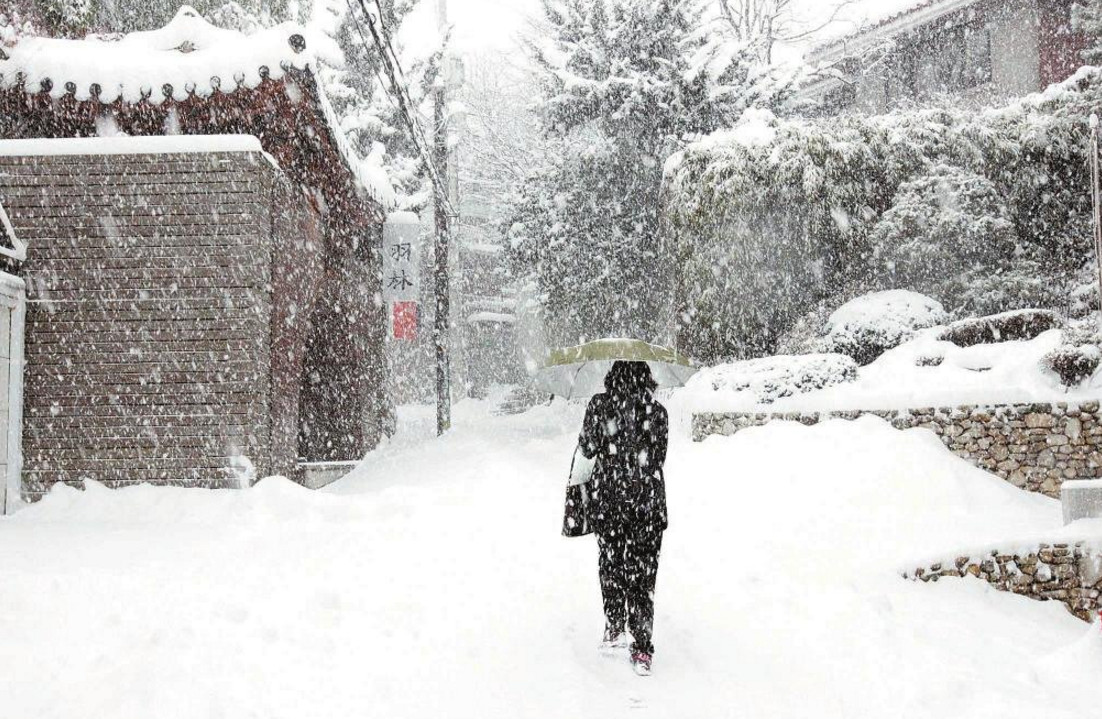 本次袭击东北的这场特大暴风雪，到底极端到了什么程度？