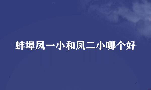 蚌埠凤一小和凤二小哪个好