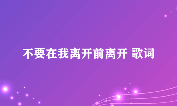 不要在我离开前离开 歌词