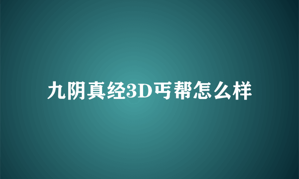 九阴真经3D丐帮怎么样