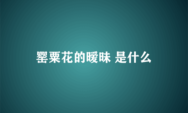 罂粟花的暧昧 是什么