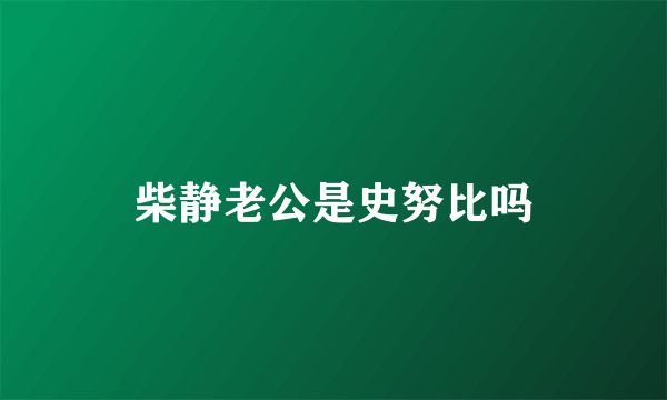 柴静老公是史努比吗