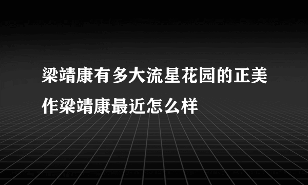 梁靖康有多大流星花园的正美作梁靖康最近怎么样