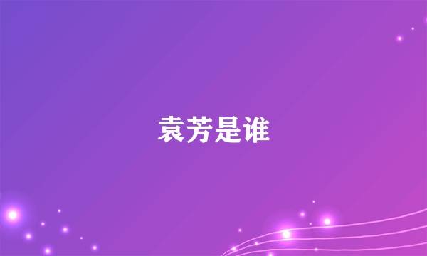 袁芳是谁