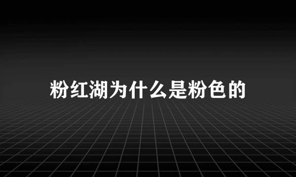 粉红湖为什么是粉色的