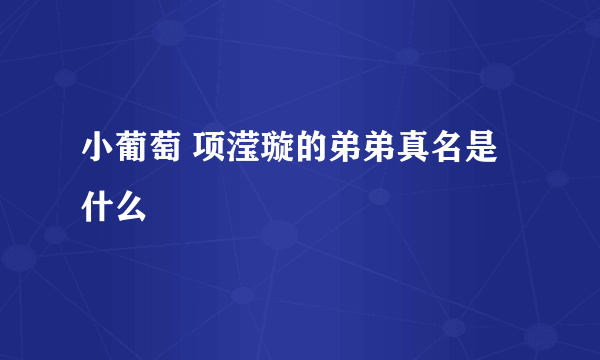 小葡萄 项滢璇的弟弟真名是什么