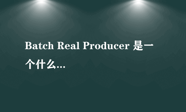 Batch Real Producer 是一个什么样的软件