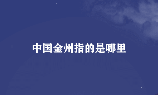 中国金州指的是哪里