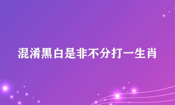 混淆黑白是非不分打一生肖