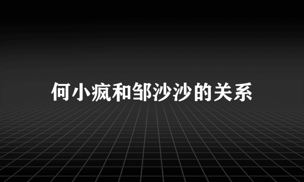 何小疯和邹沙沙的关系