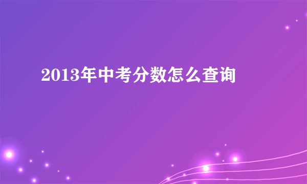 2013年中考分数怎么查询