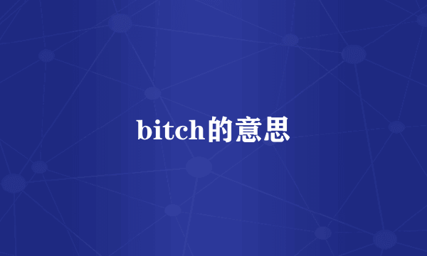 bitch的意思