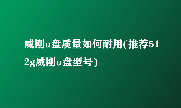 威刚u盘质量如何耐用(推荐512g威刚u盘型号)