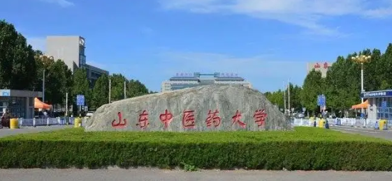 山东中医药大学的专科