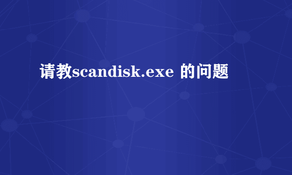 请教scandisk.exe 的问题