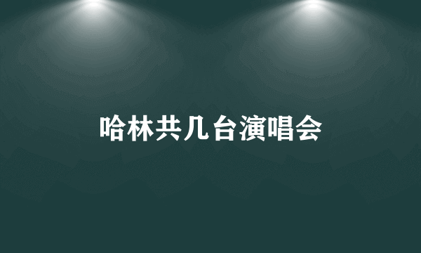 哈林共几台演唱会