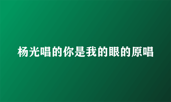 杨光唱的你是我的眼的原唱