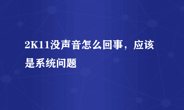 2K11没声音怎么回事，应该是系统问题