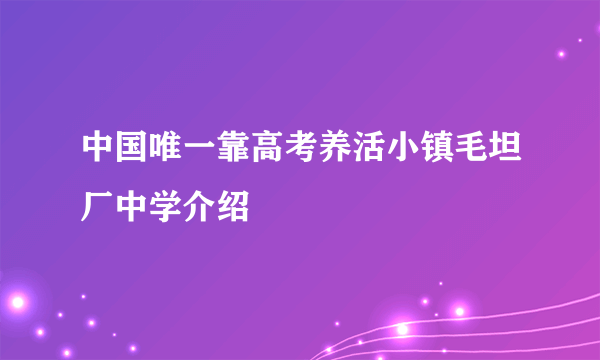 中国唯一靠高考养活小镇毛坦厂中学介绍