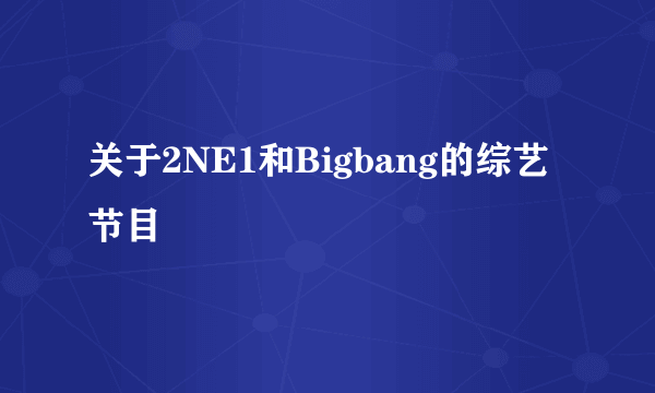 关于2NE1和Bigbang的综艺节目