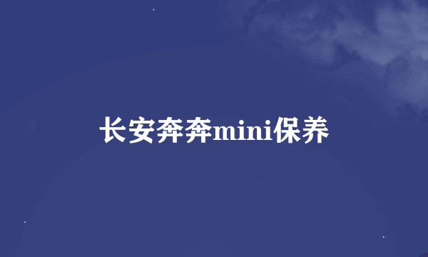 长安奔奔mini保养