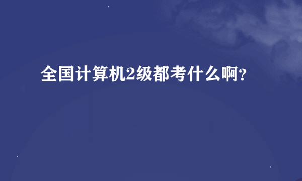 全国计算机2级都考什么啊？