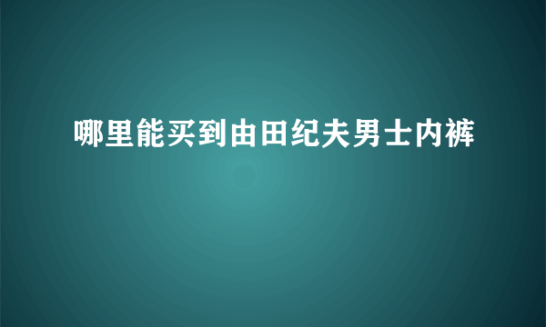 哪里能买到由田纪夫男士内裤