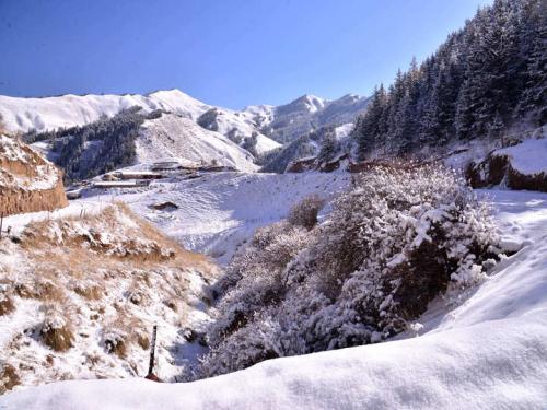 祁连山突降大雪，是什么原因造成的？