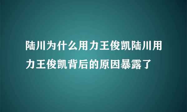 陆川为什么用力王俊凯陆川用力王俊凯背后的原因暴露了