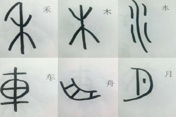 木的象形字