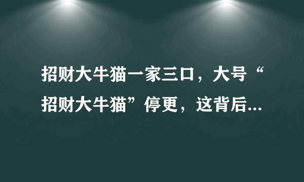 招财大牛猫一家三口，大号“招财大牛猫”停更，这背后的原因是什么？