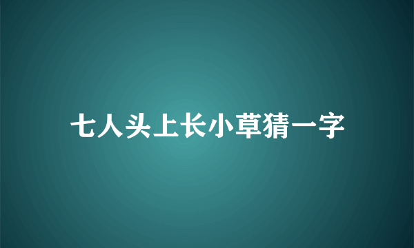 七人头上长小草猜一字