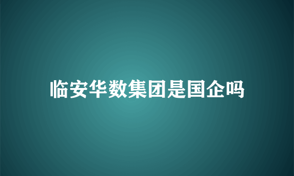 临安华数集团是国企吗