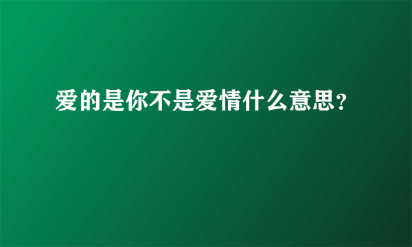 爱的是你不是爱情什么意思？