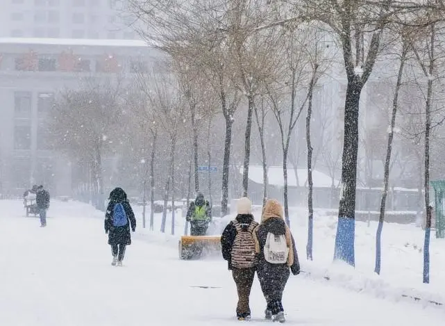 黑龙江多地遭遇暴风雪，给当地造成了哪些影响？