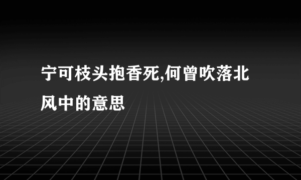 宁可枝头抱香死,何曾吹落北风中的意思