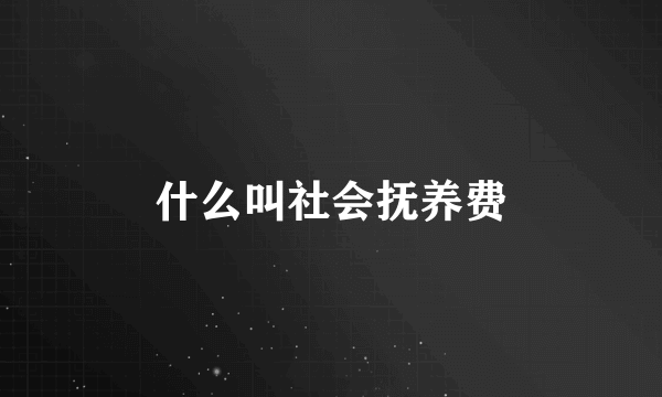 什么叫社会抚养费