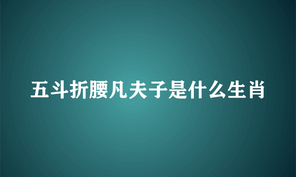 五斗折腰凡夫子是什么生肖