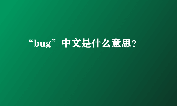 “bug”中文是什么意思？