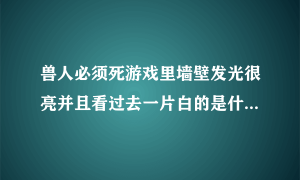 兽人必须死游戏里墙壁发光很亮并且看过去一片白的是什么原因？